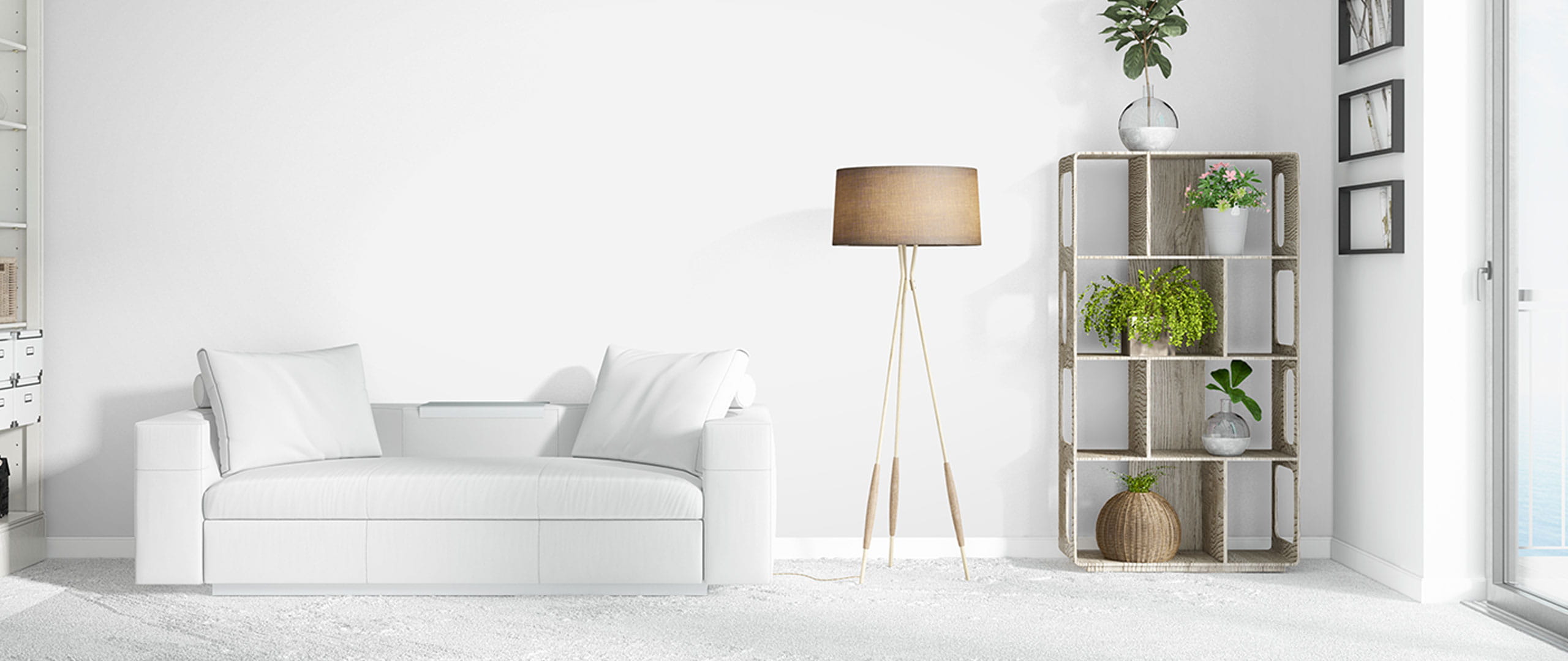 台灣健康呼吸計畫